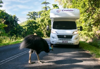 Cruisin Motorhomes Adventurer