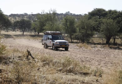 AfriCar Toyota Landcruiser 4x4 C 2P